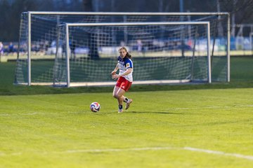 Bild 322 - wBJ Hamburger SV - Eimsbuettler TV : Ergebnis: 4:0